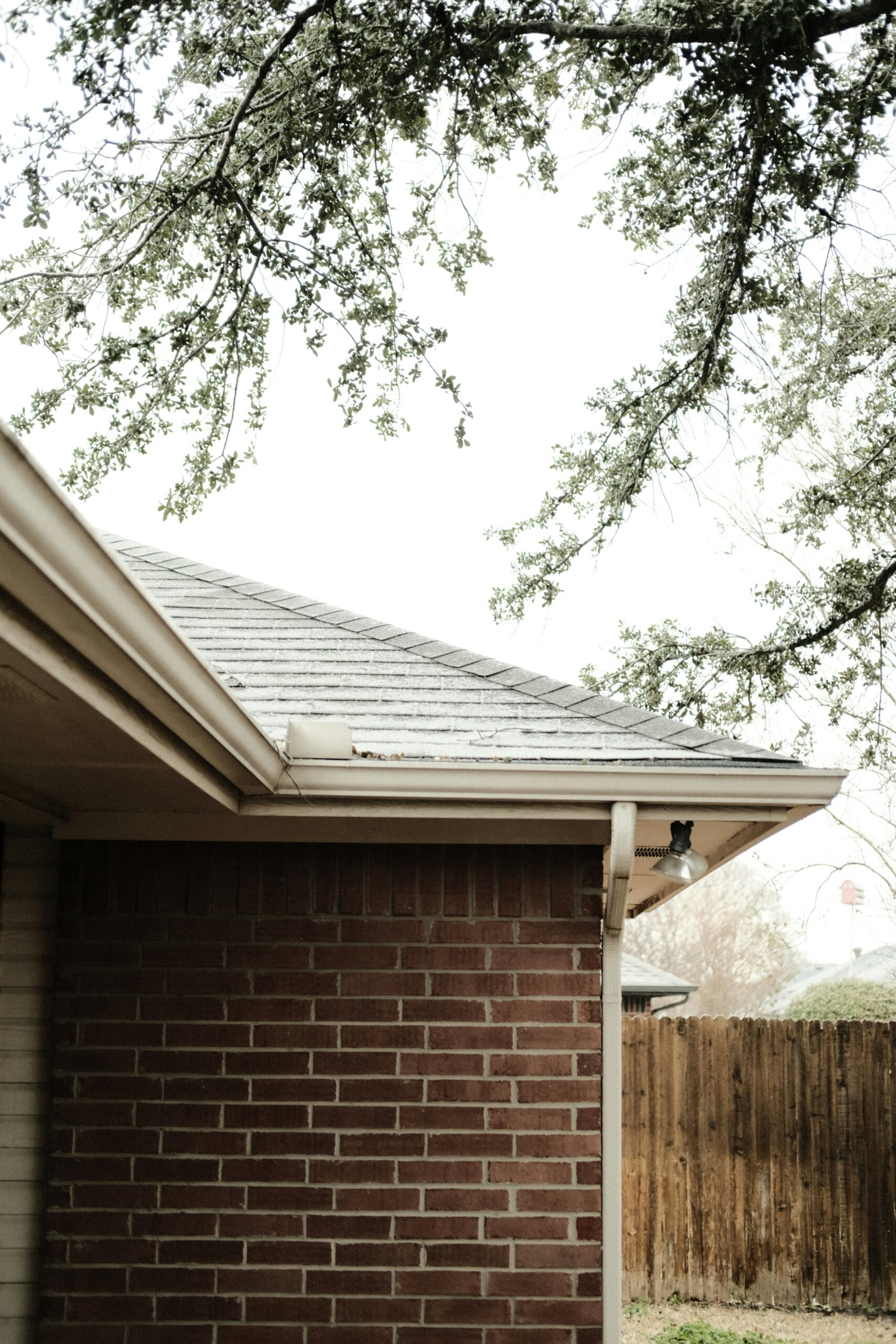 Roof Replacement